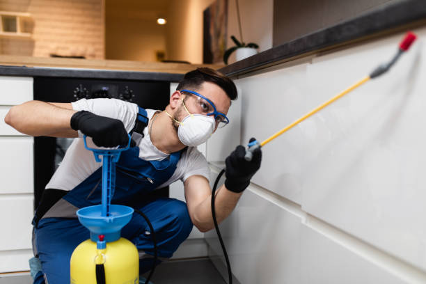 Best Best Pest Control Companies  in Quinebaug, CT