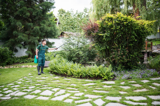 Best Affordable Pest Control Services  in Quinebaug, CT