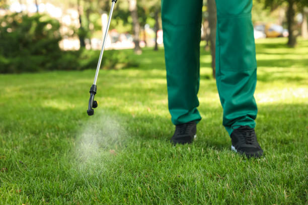 Reliable Quinebaug, CT Pest Control Solutions