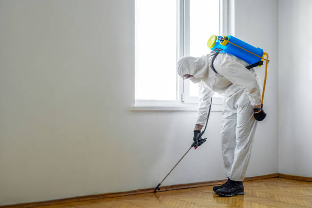 Best Local Pest Control Services  in Quinebaug, CT
