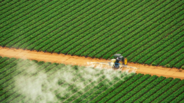Best Mosquito Control Services  in Quinebaug, CT