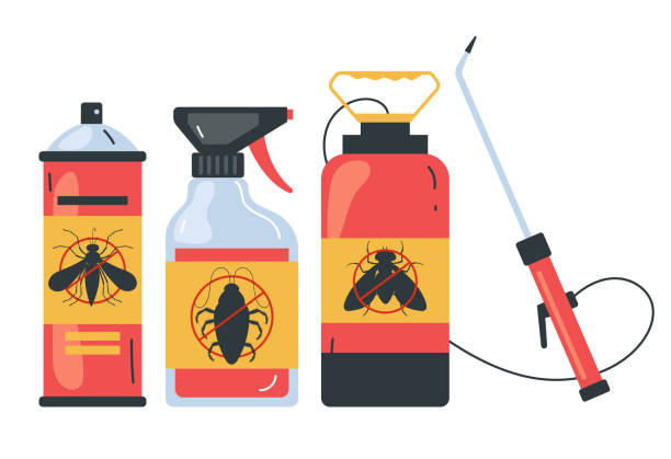 Best Wildlife Control Services  in Quinebaug, CT