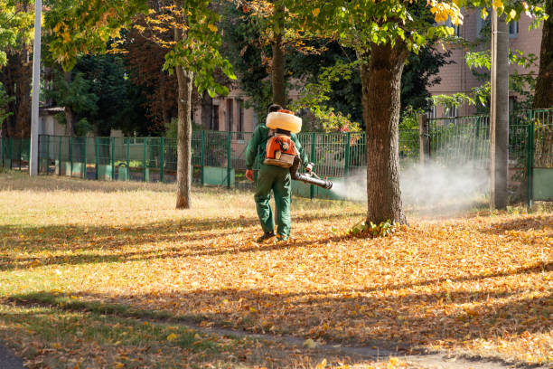 Best Pest Control Near Me  in Quinebaug, CT